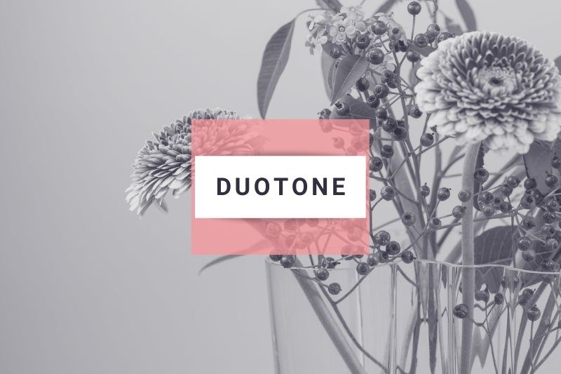 Duotone image example
