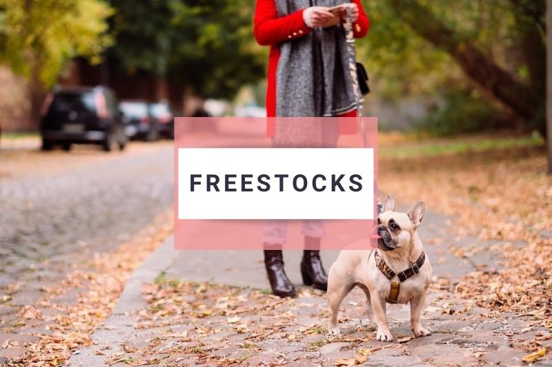 Freestocks image example