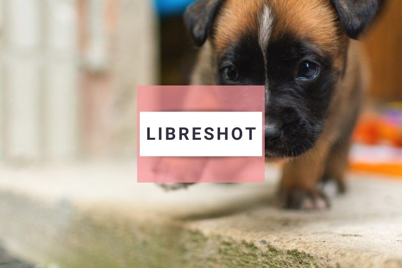 Libreshot image example