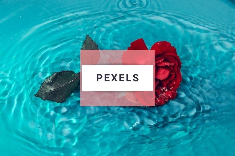 Pexels image example