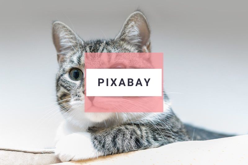 Pixabay image example